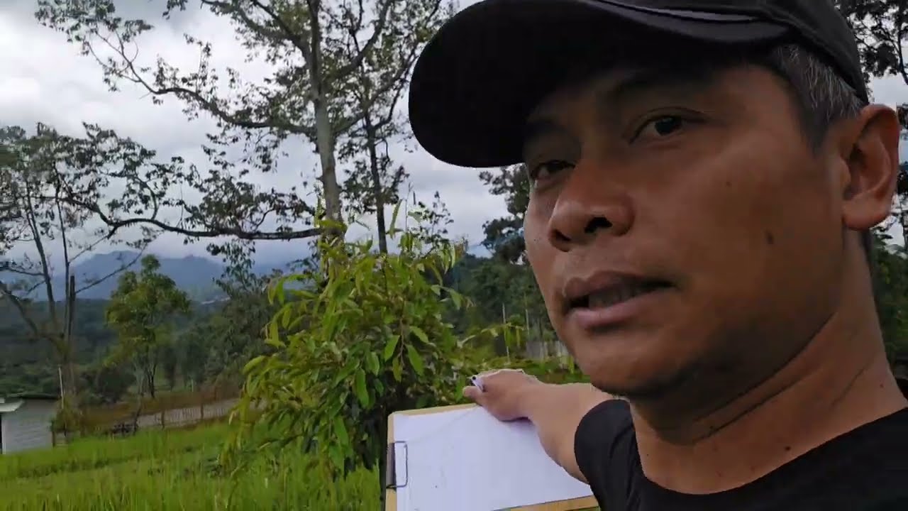 Journey to Durian King