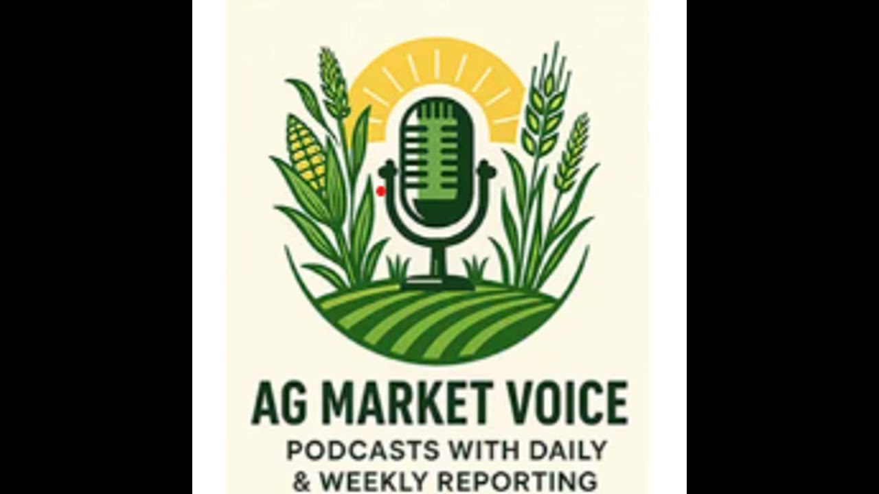 Crop Conditions Drop? And so Does Flat Price of Grain--Defend What You Can