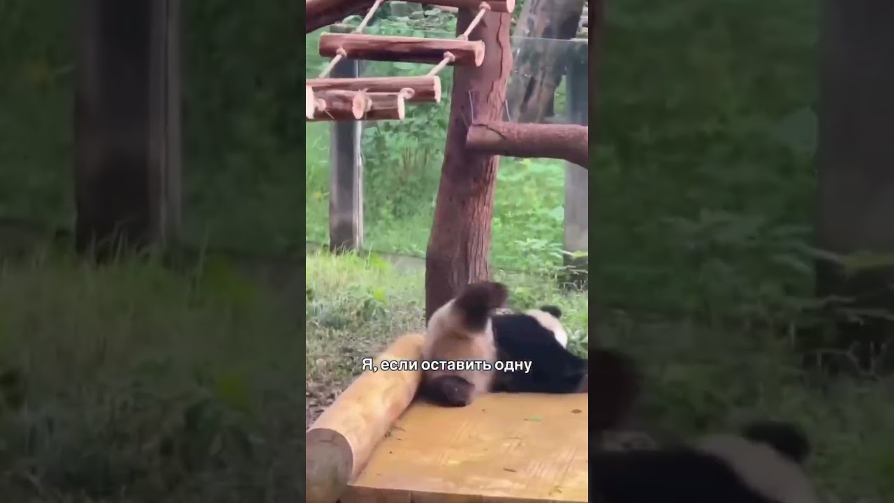 Точно про меня 😂 #смешновидео #шуточное #прикол #смехпродлеваетжизнь #неловкиемоменты