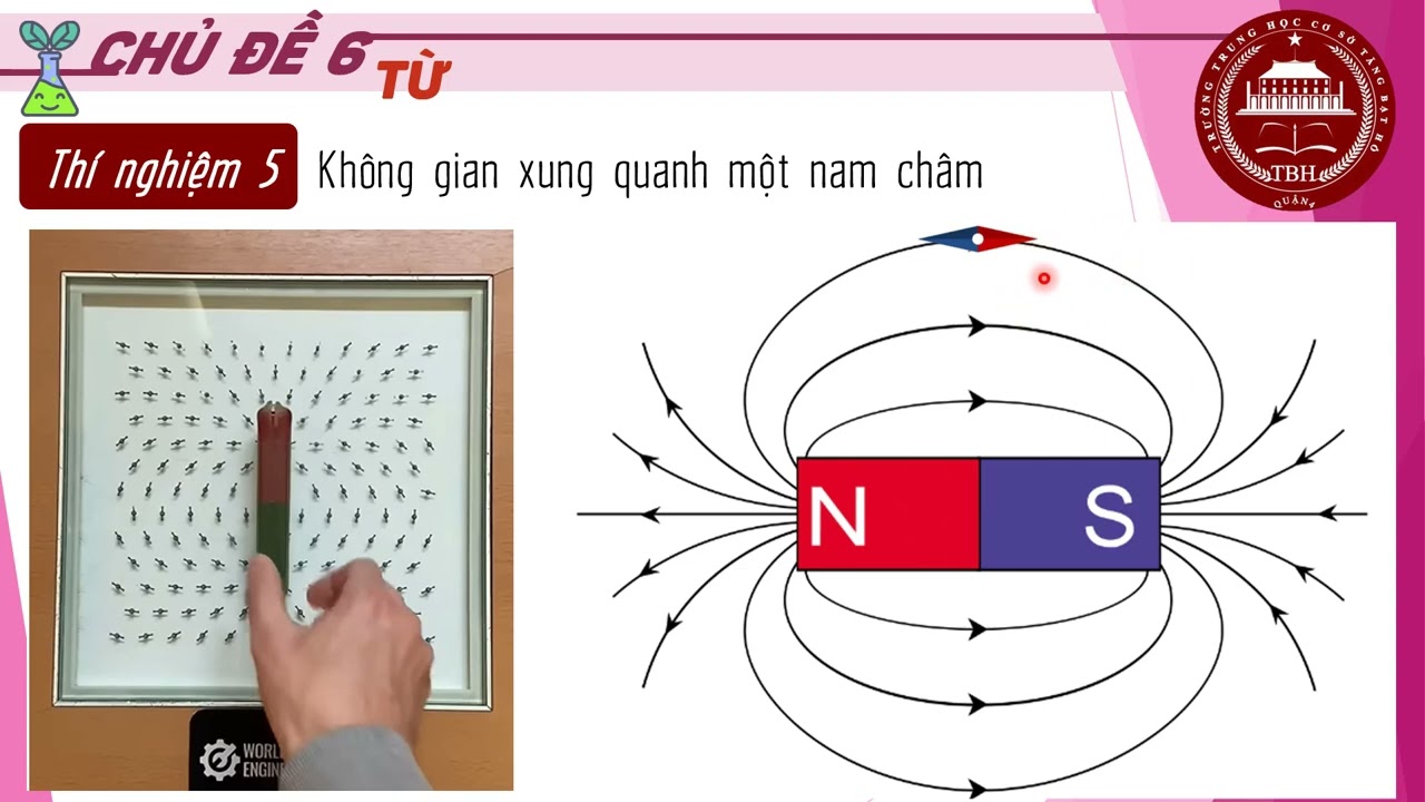 KHTN7 -CHỦ ĐỀ TỪ -GV NGÔ LAN