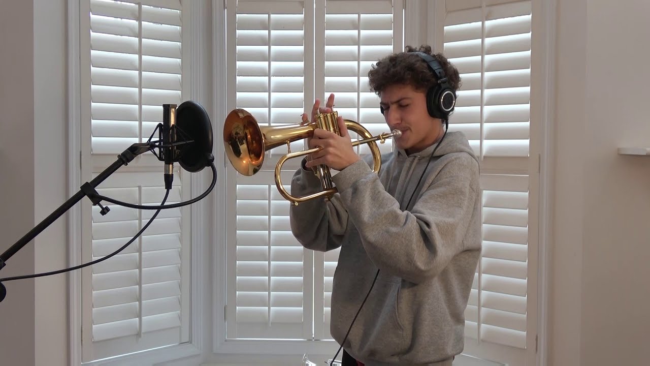 Someday My Prince Will Come | ZebJazz