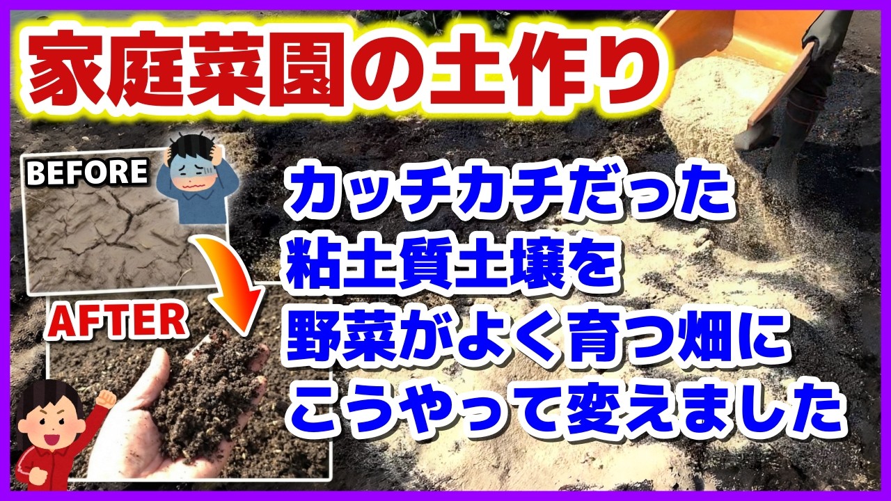 【家庭菜園の土作り】１年で実感！２年で激変！カッチカチの粘土質土壌を、野菜がよく育つ畑に変えた土づくりの方法（入れる資材と手順）／畑の土壌改良