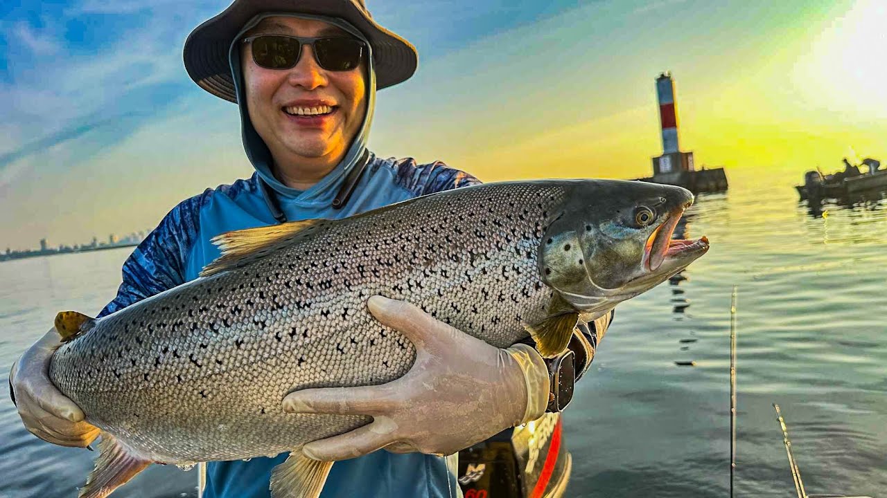 Lake Michigan Jigging Bites - Kings, Coho, and Brown Trout
