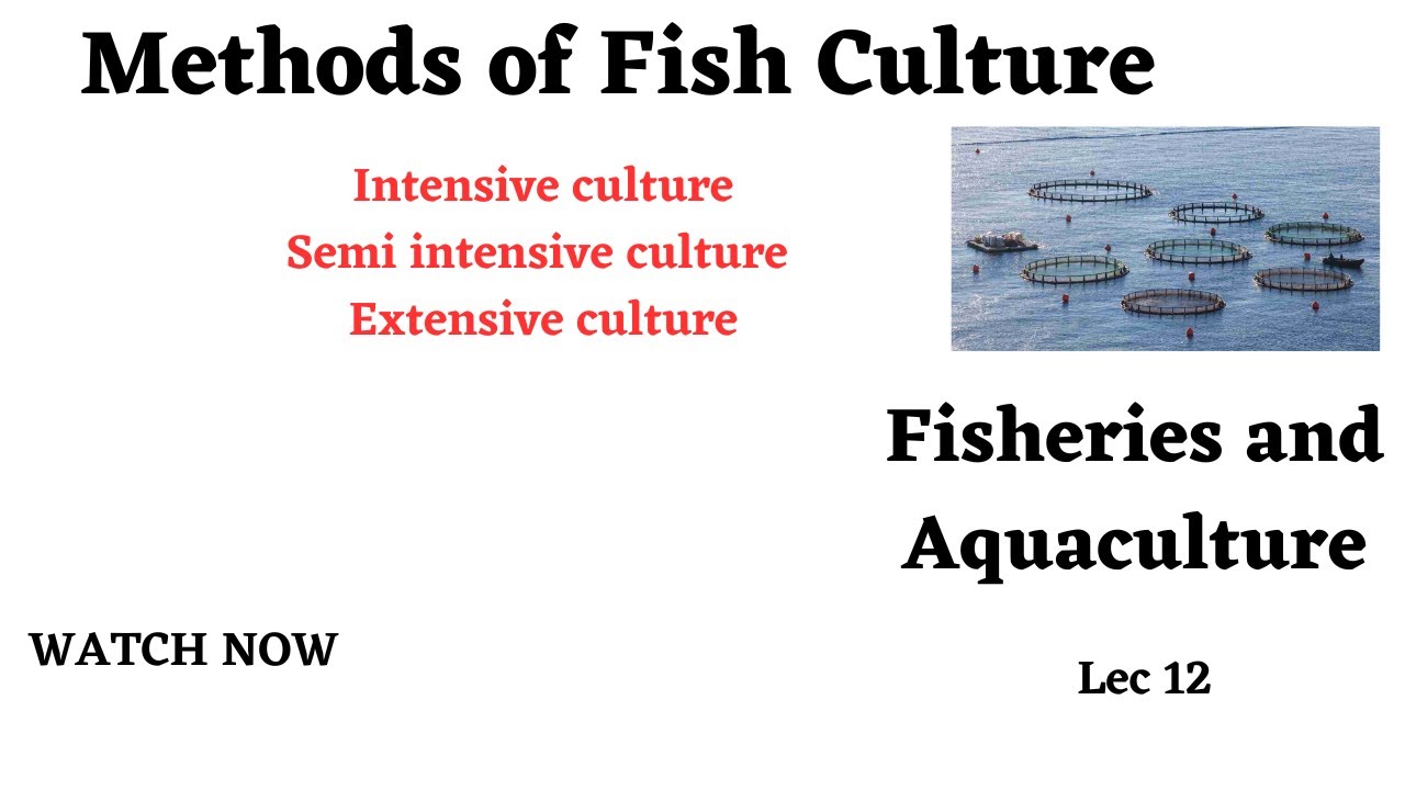 Methods of Fish culture and Culture system/Fish Farming/Culture operations/ BS /MS