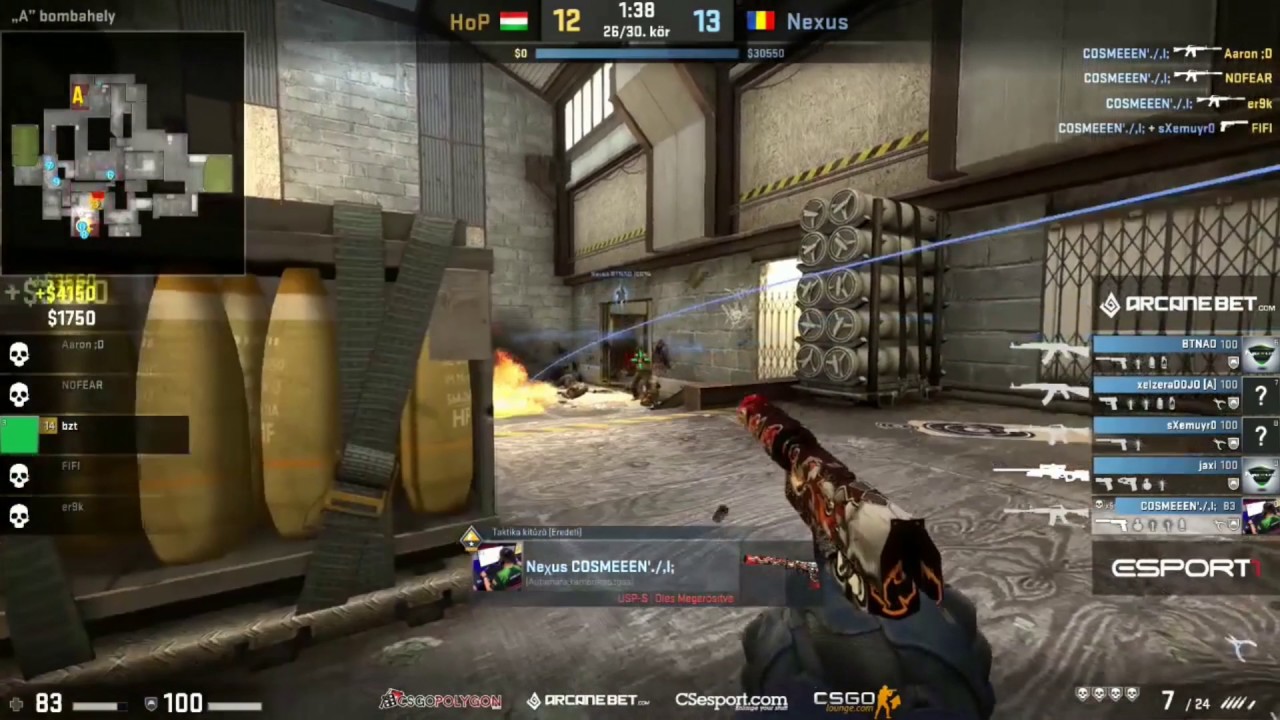 cosmeeeN anti-eco ACE vs HoP