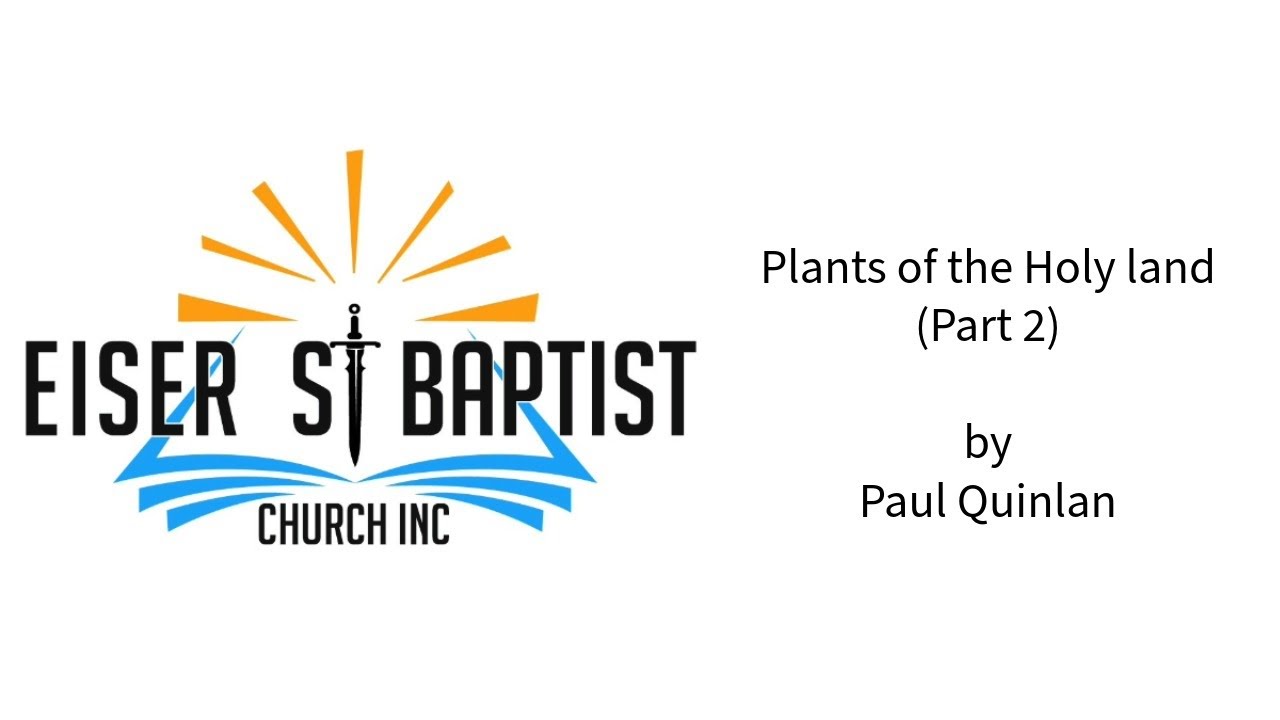 Plants of the Holy Land Part 2 by Paul Quinlan