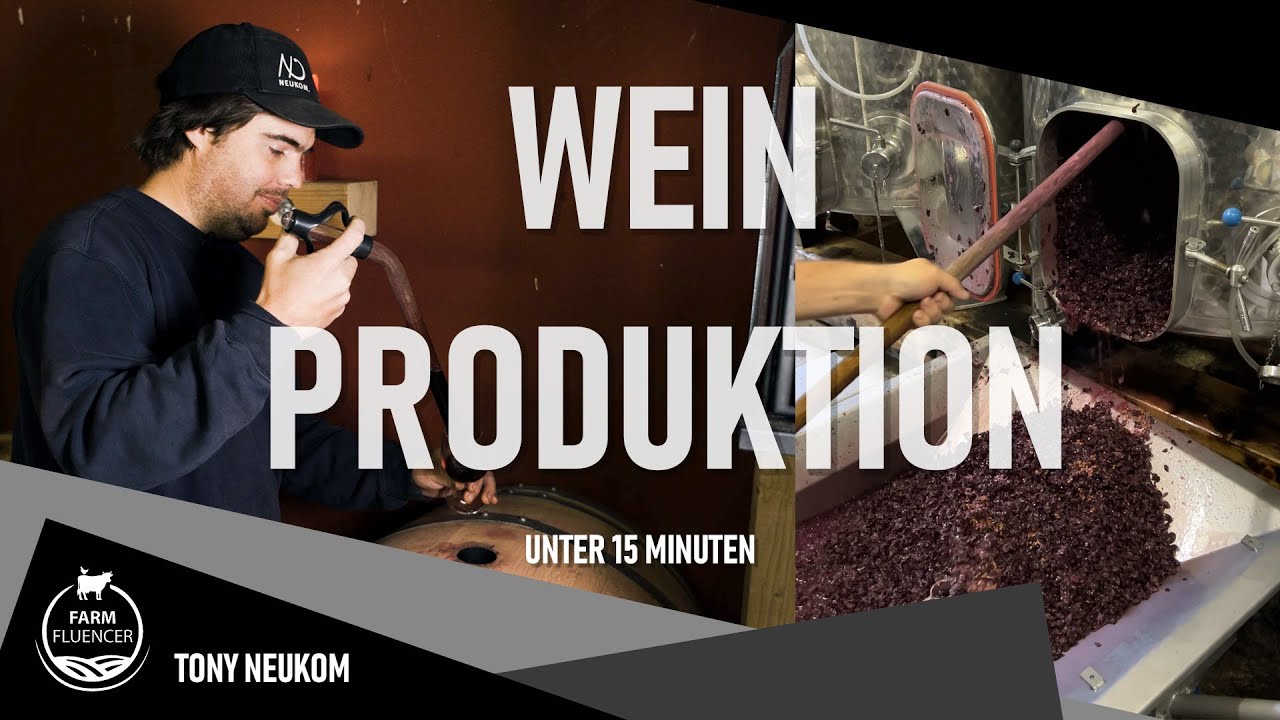 Wie wird Wein hergestellt? | Unter 15 Minuten | Farmfluencer