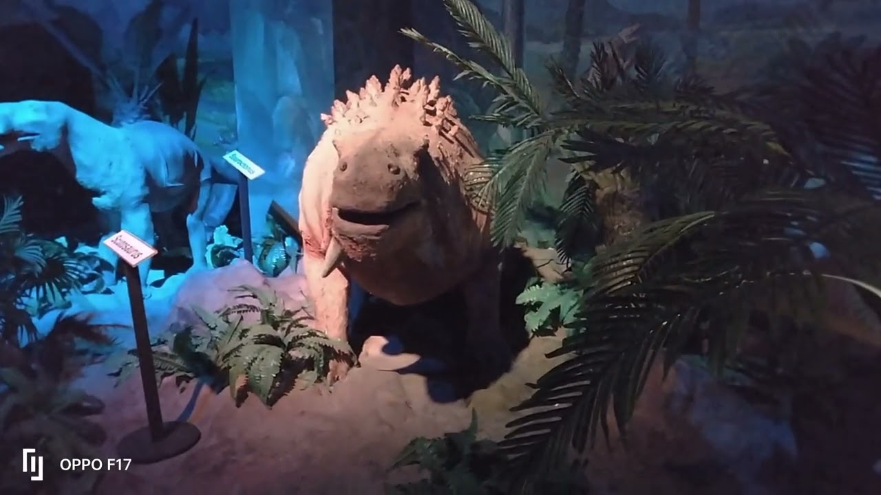 Dark ride Part 1