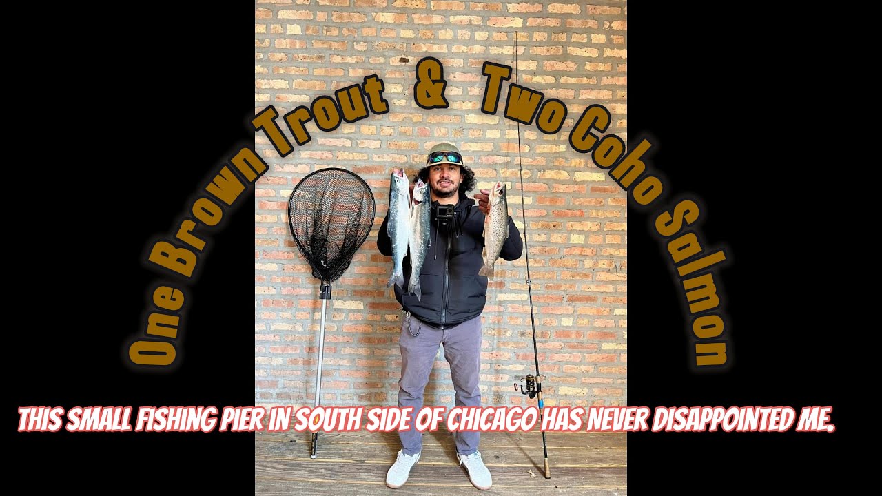 Amazing Day to Go Fishing in Chicago. Caught A Brown Trout & Two Coho Salmons