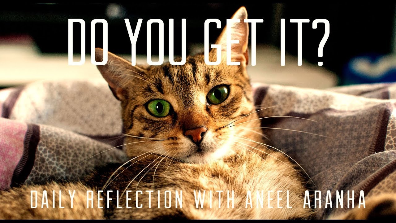 Daily Reflection With Aneel Aranha | Mark 12:28-34 | November 4, 2018
