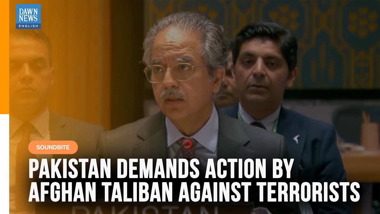 Pakistan Demands 'Verifiable' Action By Afghan Taliban Against Terrorists, Envoy Tells UNSC