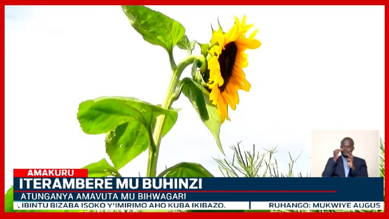 Uwashinze uruganda rutunganya amavuta mu bihwagari yatumye umusaruro w'abaturage utagipfa ubusa
