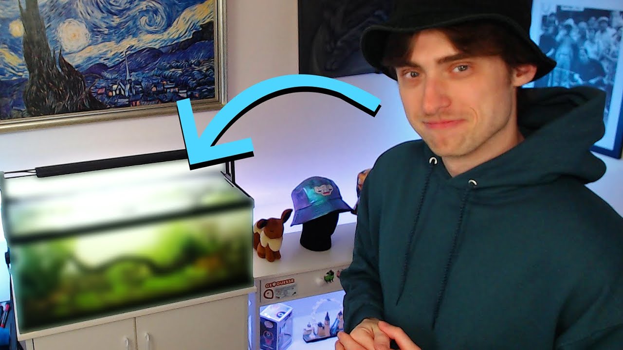 I Created an Ecosystem in my Streaming Room