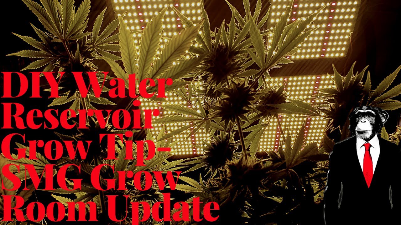 DIY Water Reservoir Grow Tip- SMG Room Update
