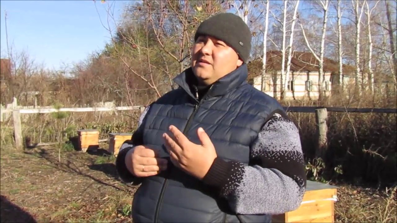 Итоги использования зелья для защиты ульев от влаги + рекламка по ульям.