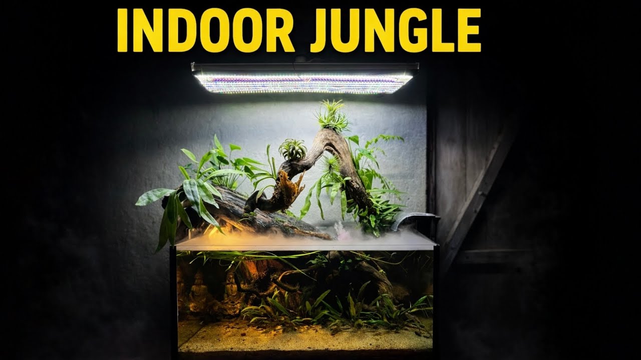 Paludarium Setup at Home (DIY) घर के अंदर बना दिया पूरा जंगल