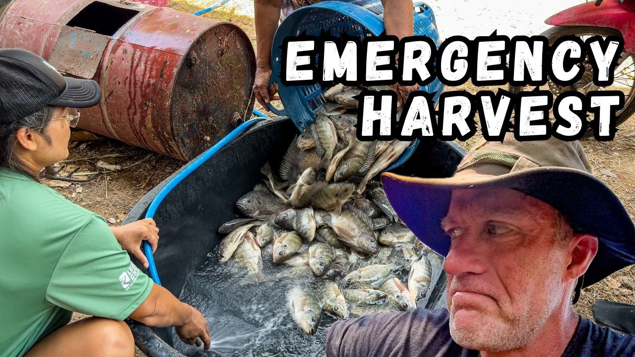 We had 48 Hours to Drain Our Pond… and It Was Awesome