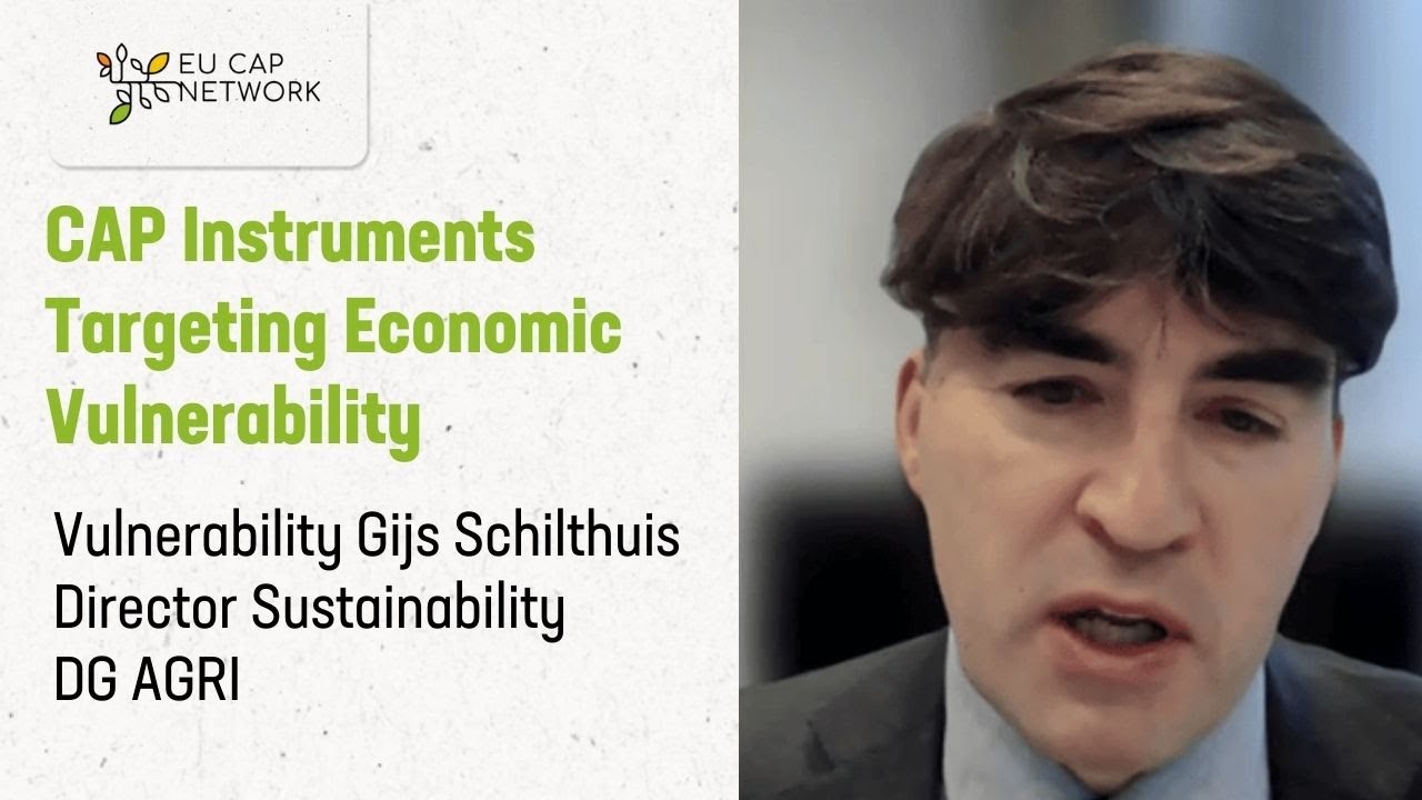 CAP Instruments Targeting Economic Vulnerability Gijs Schilthuis Director Sustainability DG AGRI, EC