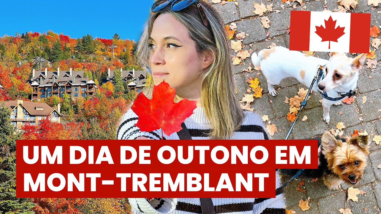 É oficial... QUEBEC ganhou meu CORAÇÃO! Montanhas e um dia em Mont-Tremblant com a família 🐶❤️