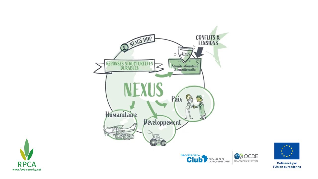 Présentation du Nexus Humanitaire – Développement – Paix (HDP)