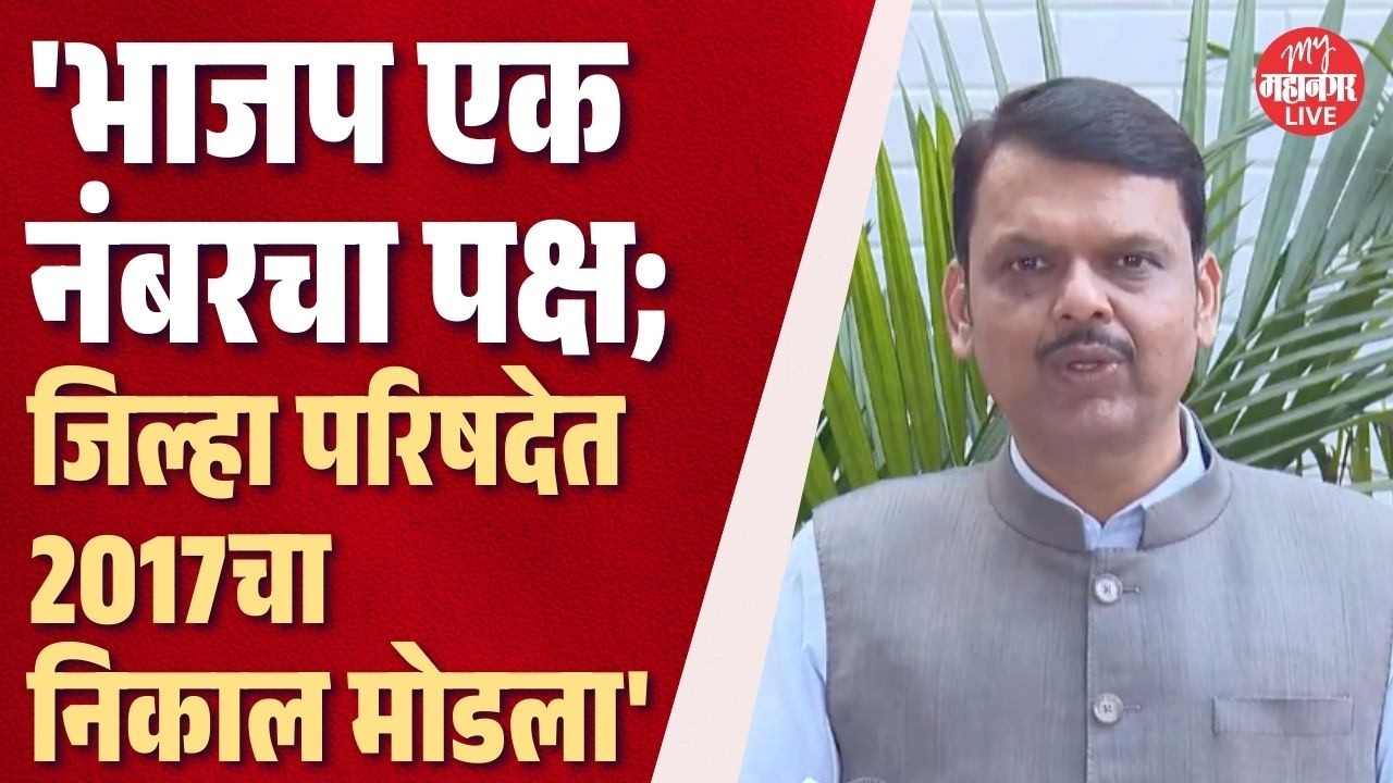 कोणाकडे किती समित्या, काय म्हणाले मुख्यमंत्री Devendra Fadnavis? | Zilla Parishad Result 2026