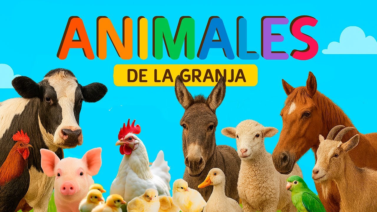 Animales de Granja para Ni&ntilde;os 🐔🐴🐮  Sonidos y Videos Reales 🐷🐭🐤