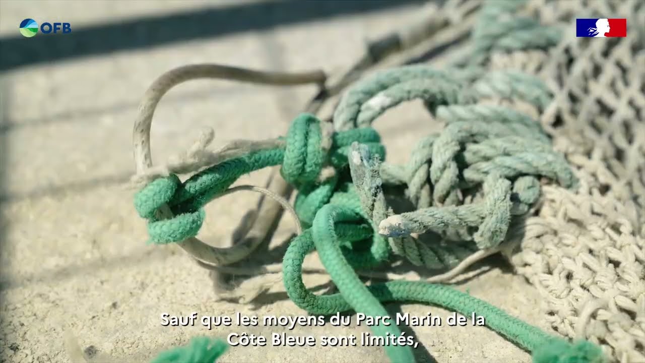 Retirer des filets perdus pour préserver les récifs de coralligène du site N2000 Côte Bleue Marine