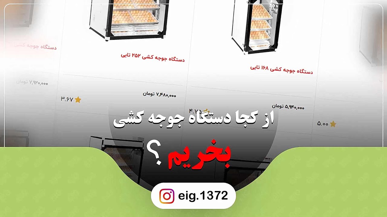 از کجا دستگاه جوجه کشی بخرم ؟ | راهنمای خرید دستگاه جوجه کشی