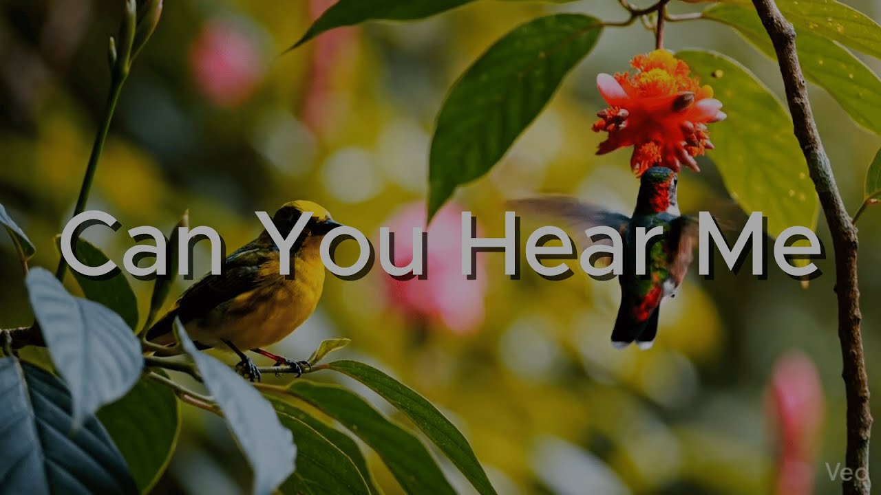 Can You Hear Me