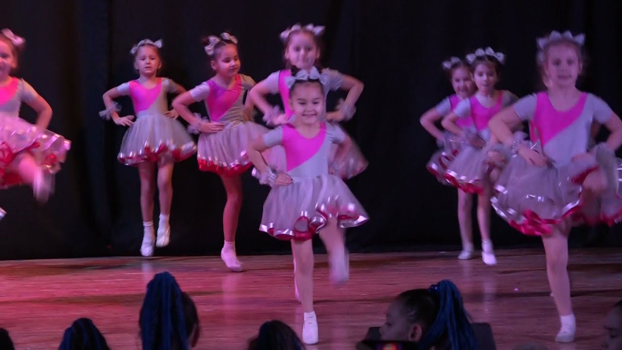 Котам мишей не злякати БІДЖИЗ