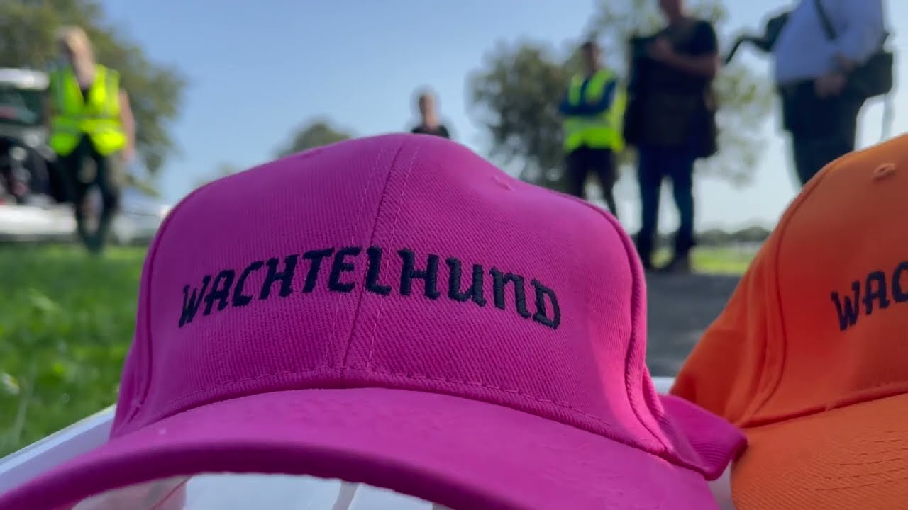 Jaktprov Wachtelhund, UKL