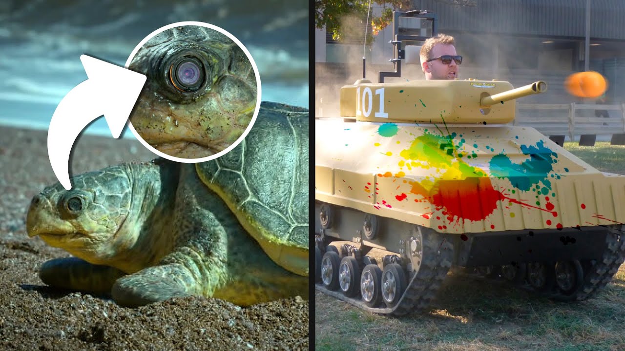 20 COSAS INTERESANTES que no hab&iacute;as visto 👀