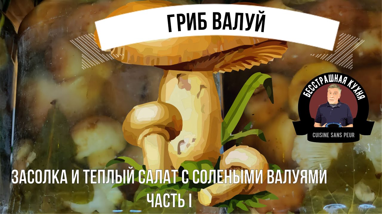 Гриб валуй (бычок). Часть I. Засол и консервация валуев🍄