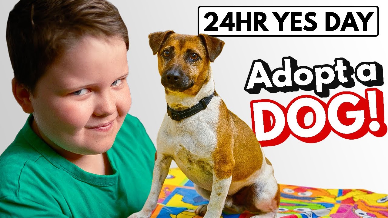 Kids Make Their Parents Adopt a DOG | Family YES Day Challenge