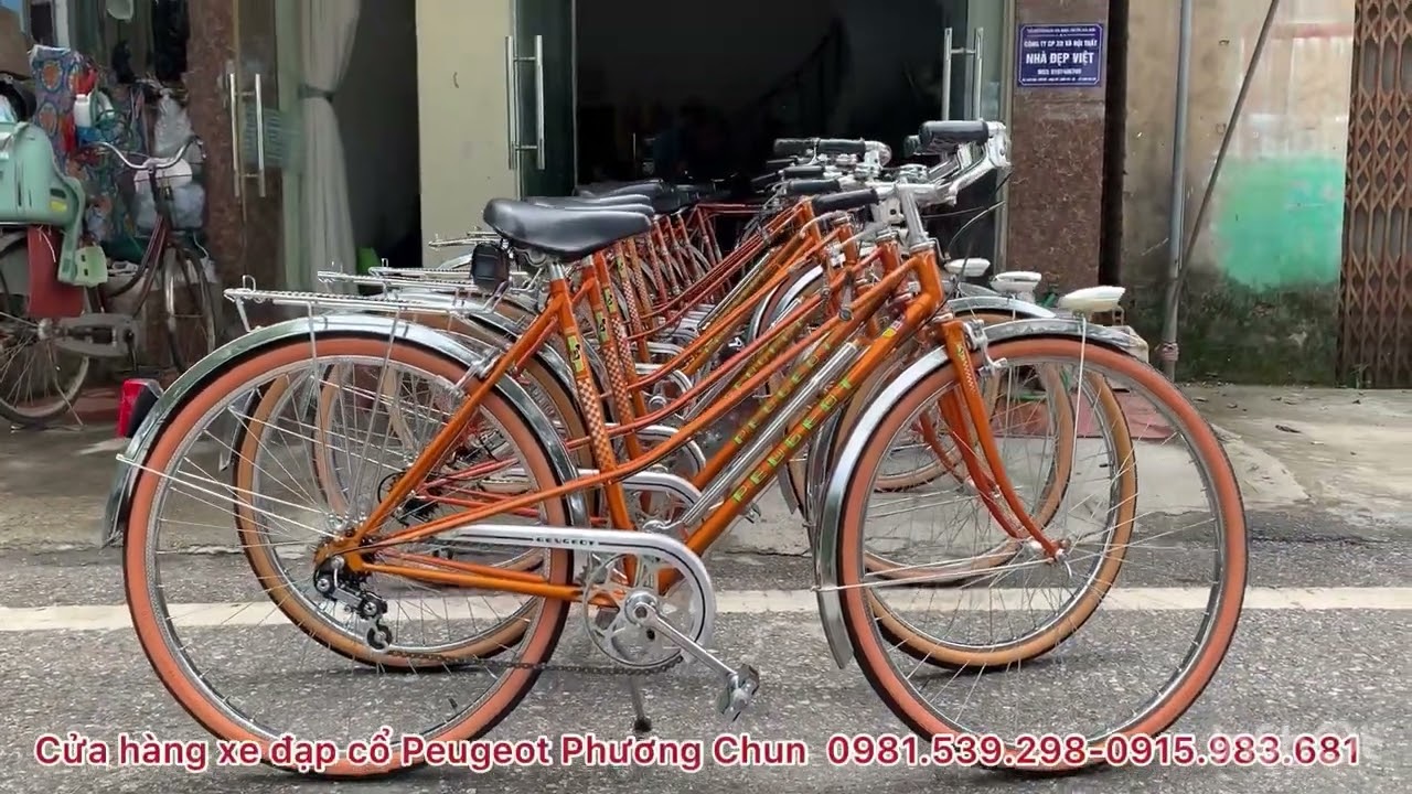 GIỚI THIỆU DÀN SIÊU PHẨM XE ĐẠP PEUGEOT CÁ VÀNG || 0981.539.298 || #video #vlog