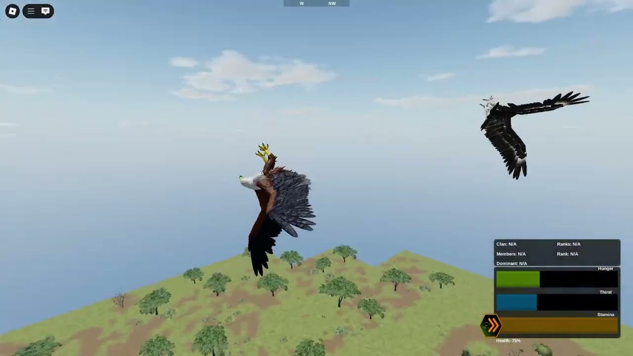 WHO RULES THE SKIES?