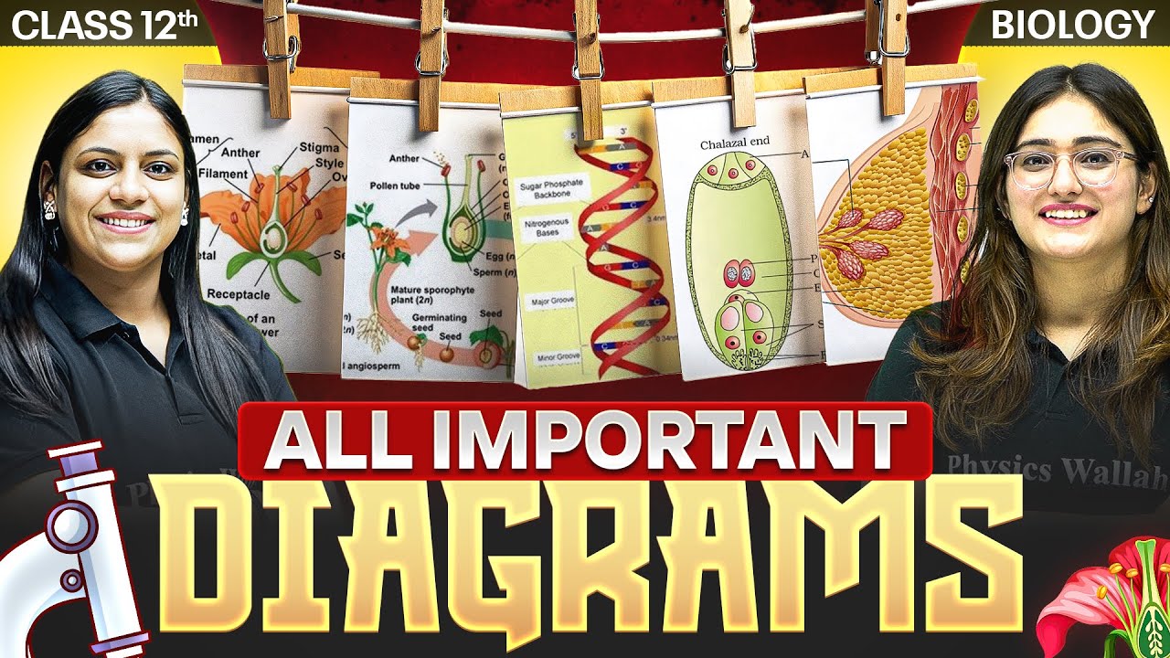Class 12th BIOLOGY: All Important DIAGRAMS for Board Exam 🔥 || PW