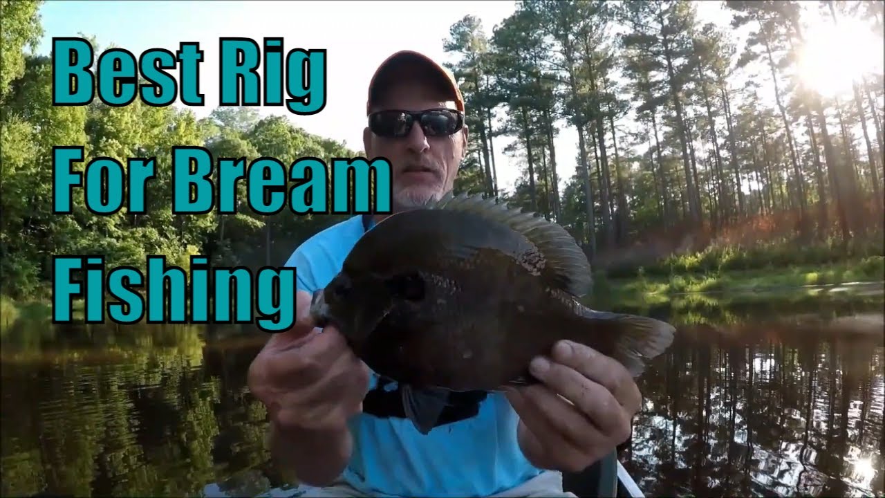 The Best Live Bait Rig for Bream Fishing ?? -   Panfish Fishing