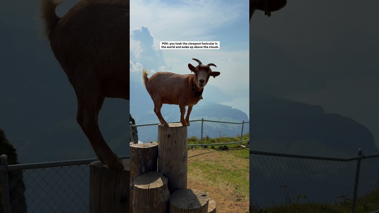 Stoos Ridge Hike Switzerland: Steepest Funicular & Epic Alpine Views above the clouds