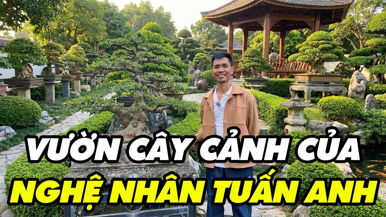 Nghệ nhân Tuấn Anh bây giờ có vườn cây đẹp quá