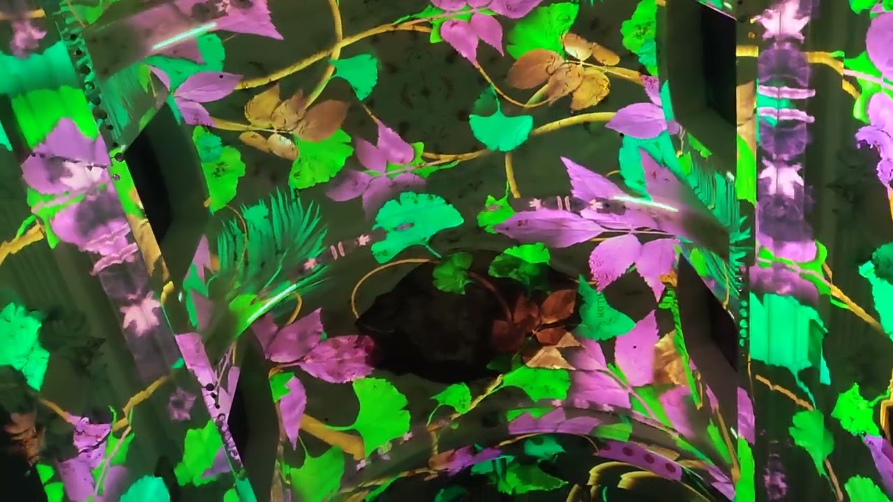 Projection-Mapping-Show &bdquo;GENESIS&ldquo; в Аугсбурге