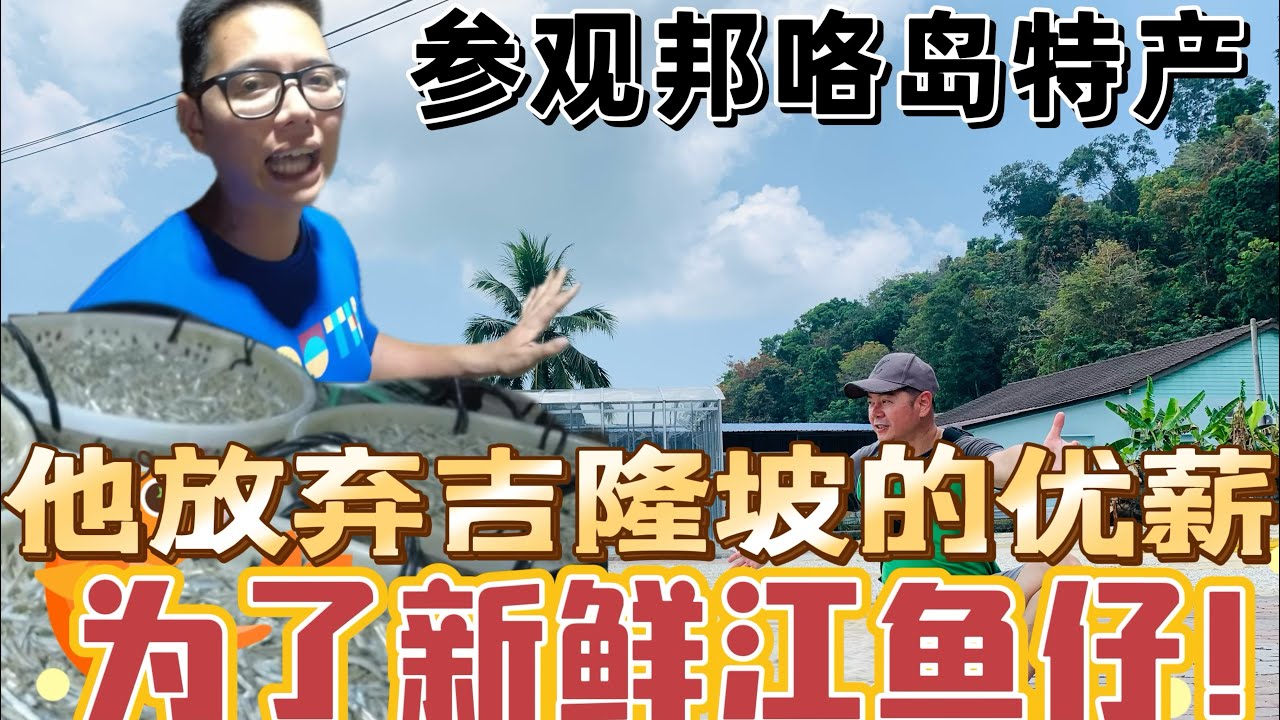 江鱼仔加工厂，竟然没有苍蝇飞来飞去，怎么可能？ 