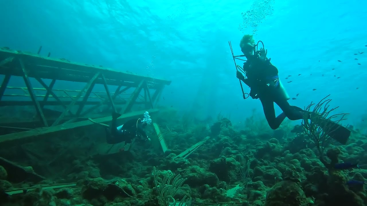 Hunting Lionfish at Seaberth 26-01-2026