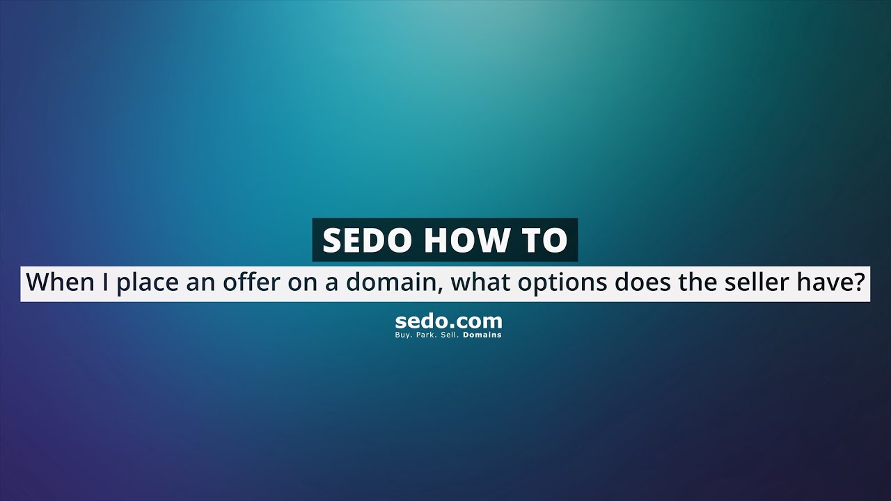 When I place an offer on a domain what options does the seller have?