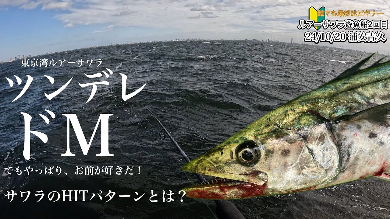 🔰浦安吉久【東京湾ルアーサワラ・2度目の遊漁船】サーフィン先輩2年越しサワラGETなるか？　#サワラ  #ルアー #釣り