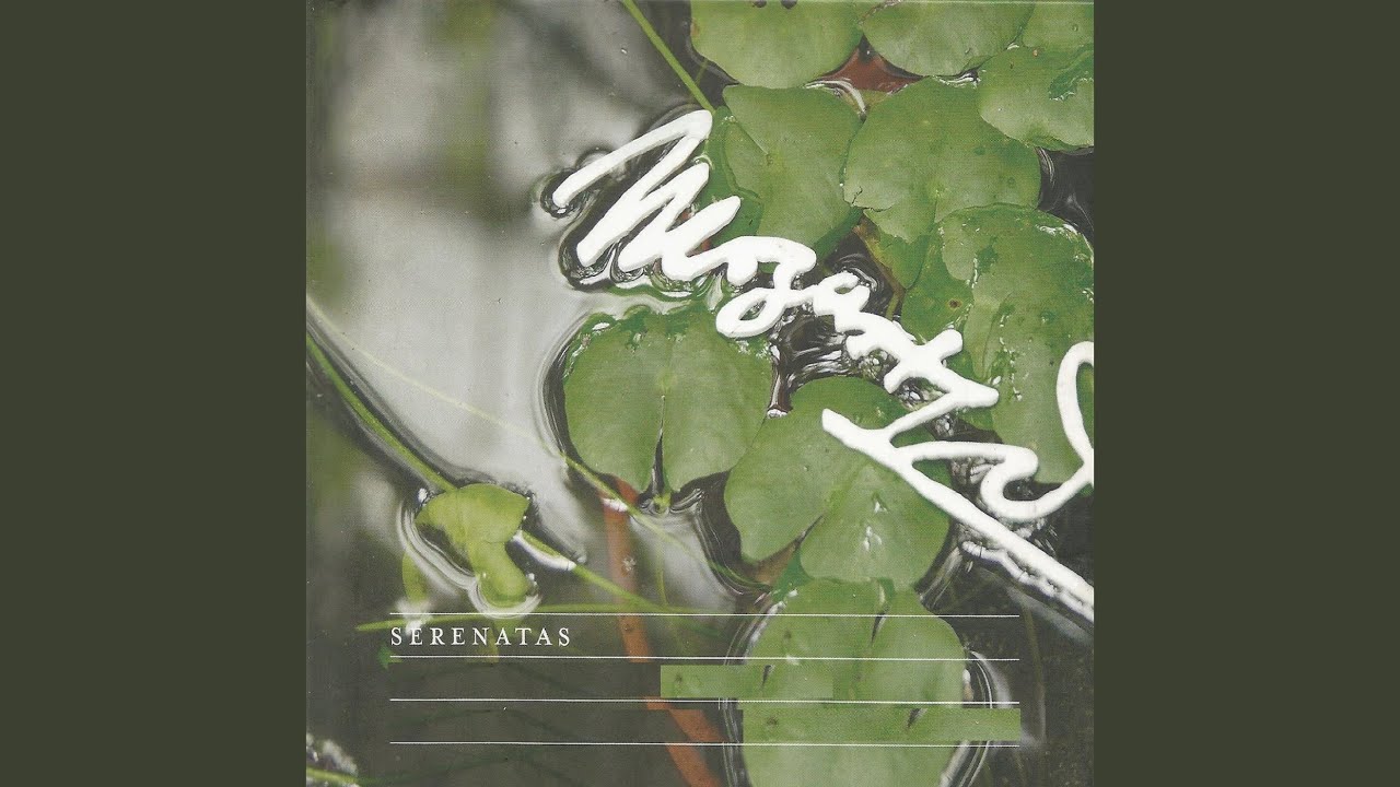 Serenade in D Major, K. 250: II. Andante