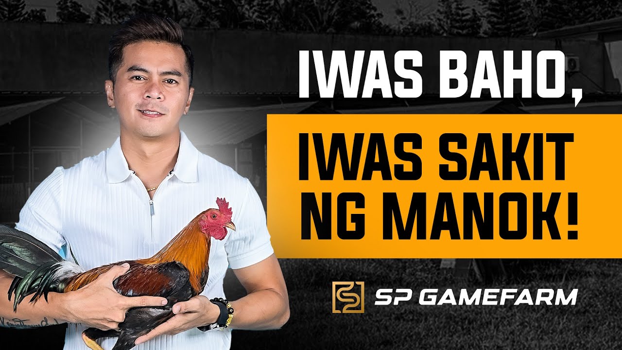 Tips Para Iwas Sakit Manok Natin!