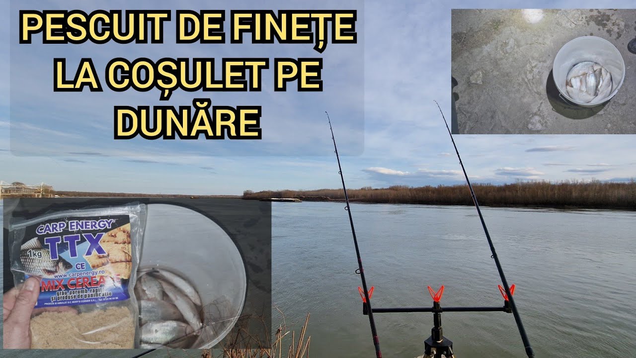 Pescuit la cosulet dupa morunas pe DUNARE Pescuit la METHOD feeder method