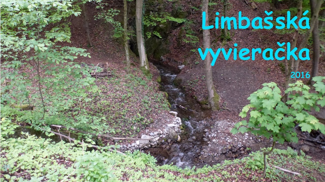 Bludárium – Malé Karpaty (Pezinok III: Limbašská vyvieračka)