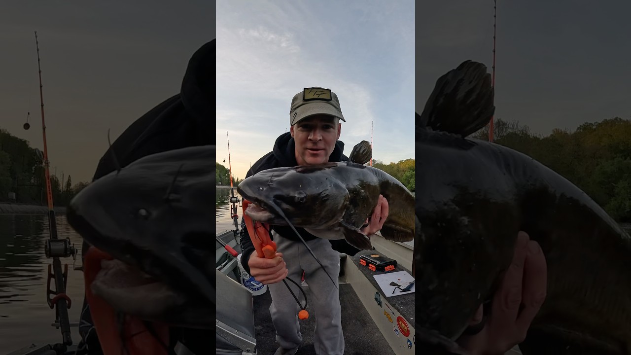 HUGE Channel Catfish! New PB! 